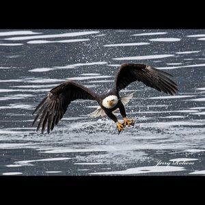 Meet your Posher, Jeff